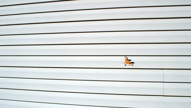 Reliable Pima, AZ Siding Installation & Repair Solutions
