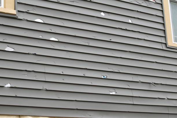 Best Storm Damage Siding Repair  in Pima, AZ